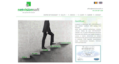 Desktop Screenshot of netvisionsoft.ro